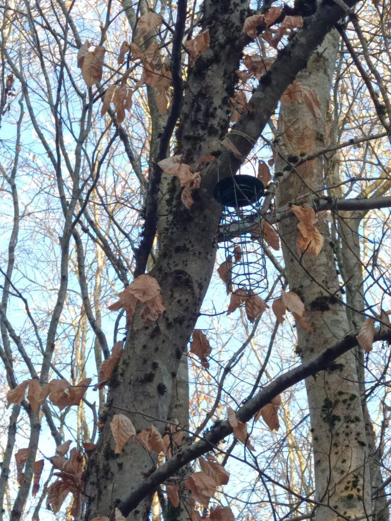 Einmal leer gefuttert 🤗