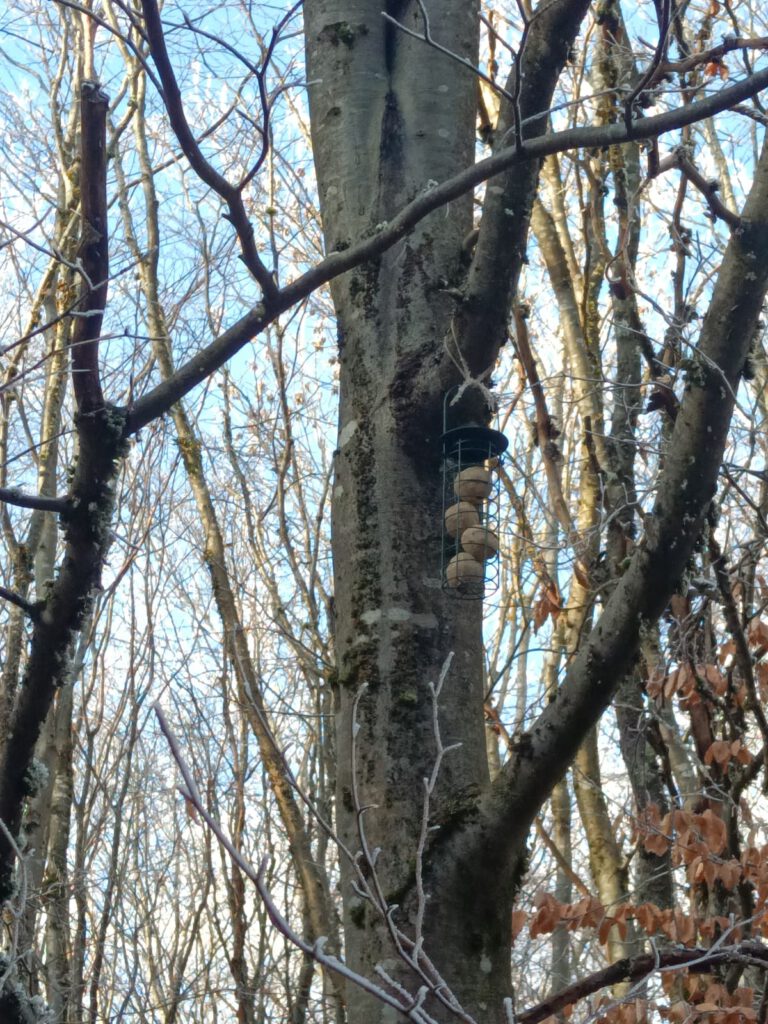 Und wieder aufgefüllt ☺️