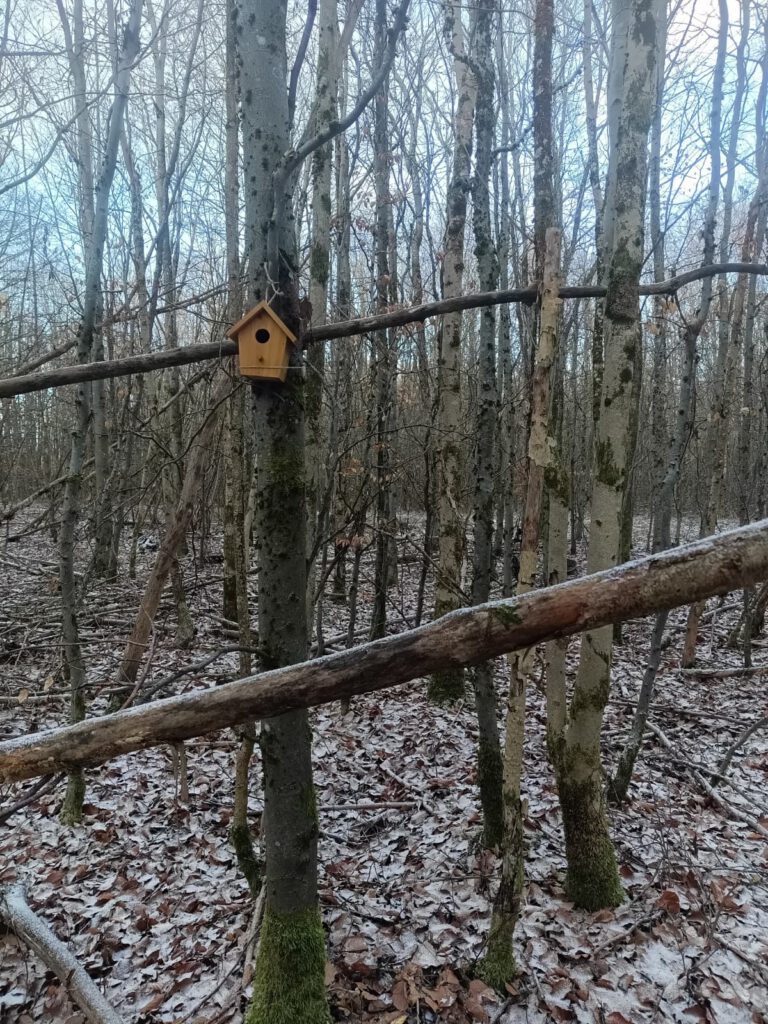 Eins der zwei Vogelhäuschen 🤫